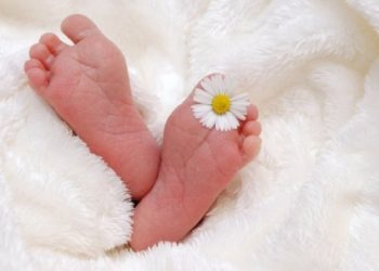 Përgjatë 10 viteve ka rënë nataliteti në Kosovë, këto janë të dhënat e Agjencisë së Statistikave