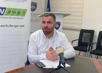 Zyrtari për informim në Agjencinë e Ushqimit dhe Veterinarisë: Qenëve endacak do t`u vendosen çipa