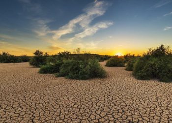 OKB: Rajonet e botës janë përballlur me vërshime dhe thatësira