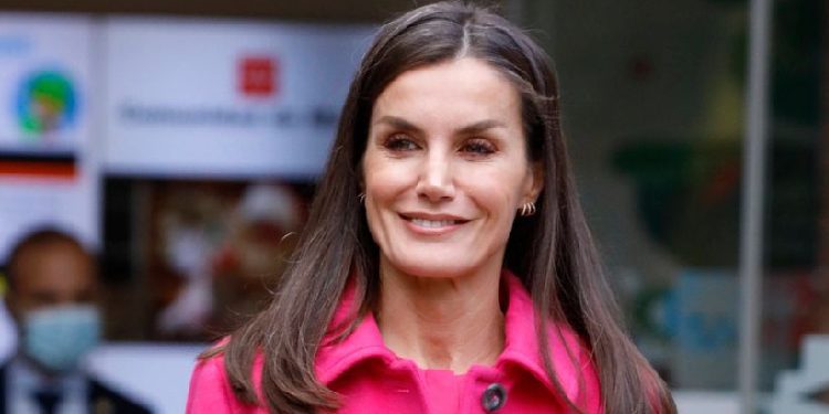 Palltoja rozë zgjedhja e duhur në gardërobën tuaj, gjatë dimrit!