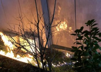 Në oborrin e qeverisë hidhen mjete zjarrëvenese, arrestohet një aktiviste