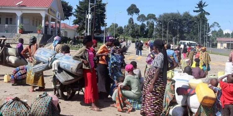 OKB: Refugjatëtë në Ugandë po përballen me probleme të ushqimit