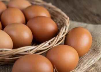 “E pamundur, por e vërtetë” çmimi i vezëve bëhet 4.49 euro