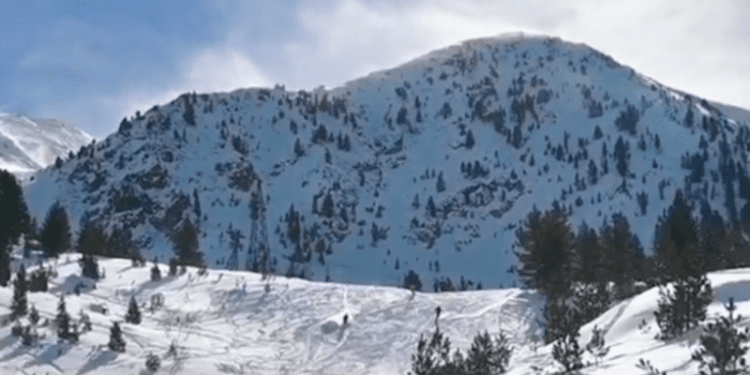 Brezovica pa borë e pa turistë