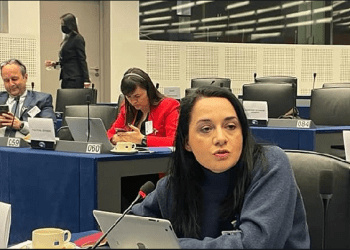 Deputetja Pacolli-Dalipi: Nëse Asociacioni është OJQ, pse duhet qeveria ta themeloj?