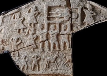 Për tu habitur, gjindet një pllakë e gdhendur guri nga Kalaja e Dardanës në Kamenicë