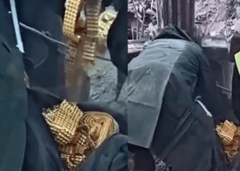 Kujt i përkasin afër 100 kg ari që u gjeten nën rrenoja në Turqi