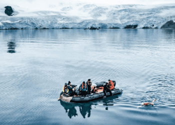 Notarja nga Kili thyen rekord, noton 2.5 km në Antarktidë