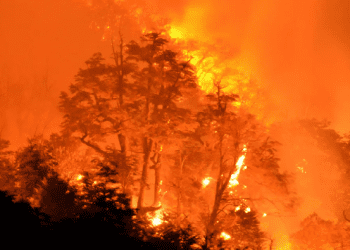 Të paktën 22 të vdekur nga shpërthimi i zjarrit në Kili