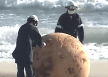 E pazakontë, sfera misterioze gjendet në plazh dhe “huton” Japoninë