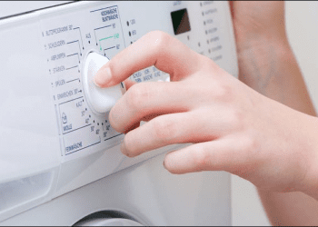 A e keni ditur se truri i njeriut dhe lavatriçja kanë një të përbashkët