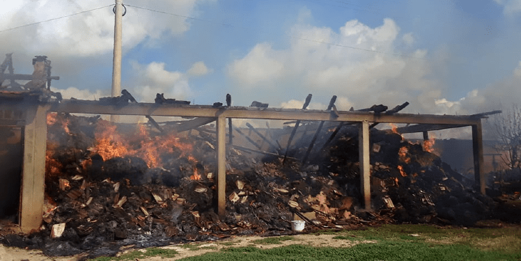 Përfshihet nga zjarri një shtallë e drurit në Suharekë, 14 kecër ngordhin