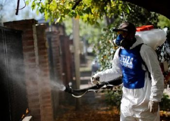 Argjentina përballet me shpërthim rekord të etheve ”Dengue”