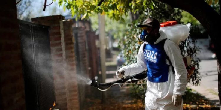 Argjentina përballet me shpërthim rekord të etheve ”Dengue”