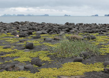 Disa nga vendet misterioze ku asnjë turist nuk lejohet të vërë këmbë!