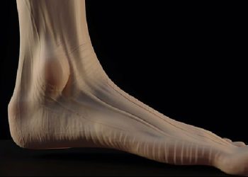 Intelegjenca Artificale publikon ilustrimet se si mund të duken këmbët e njerëzve në 100 vite