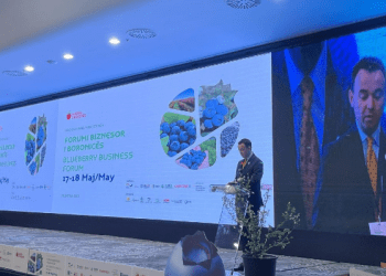 Ministri Peci: Kultivimi i boronicës paraqet një prej sektorëve më potencial në Kosovë