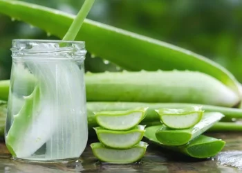 Cilat janë përfitimet shëndetësore të Aloe Vera