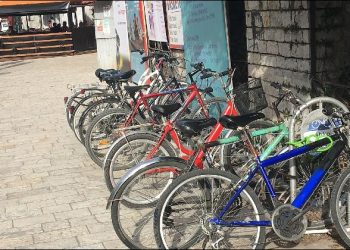 Dita Botërore e Biçikletës, kuptimi dhe rëndësia