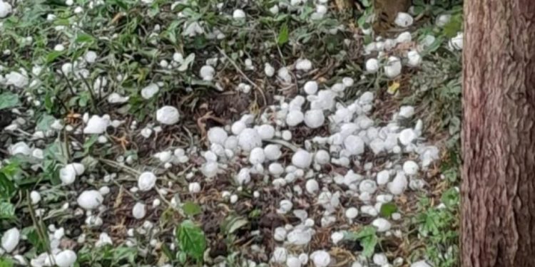 Breshëri përveq që shkatërroi bujqësinë në Fierzë, nuk kurseu as makinat