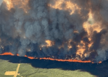 Kanadaja në hall me zjarret