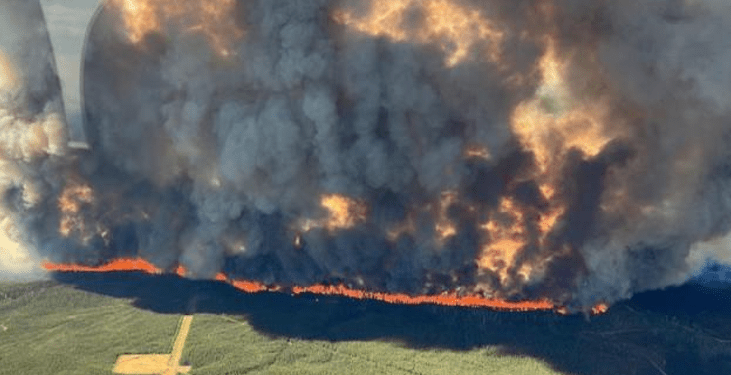 Kanadaja në hall me zjarret