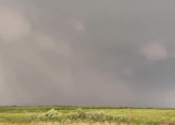 Tragjedi në Teksas, godet tornado, shakton viktima dhe dëme materiale