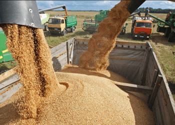 Nëse nuk vazhdon marrëveshja për dridhërat ukrainase, cilat do të jenë pasojat në botë?