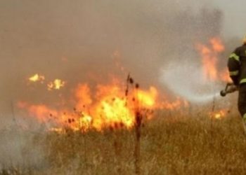 Digjen 16 hektarë tokë të mbjellura me grurë në Fier!