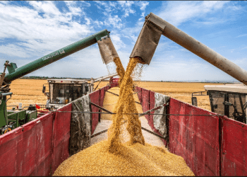 Marrëveshja për eksportin e drithërave ukrainase përfundon pas 5 ditësh, çfarë mund të ndodh pas kësaj?