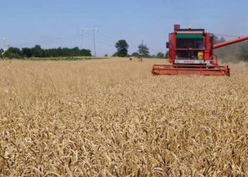 Sa do të jetë çmimi i korrje-shirjeve sivjet në Kosovë