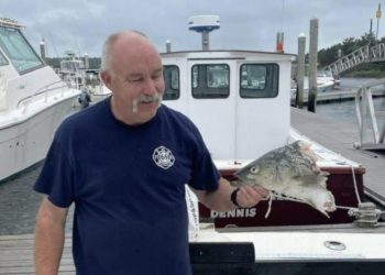 Peshkaqeni ia rrëmben nga grepi peshkun peshkatarit