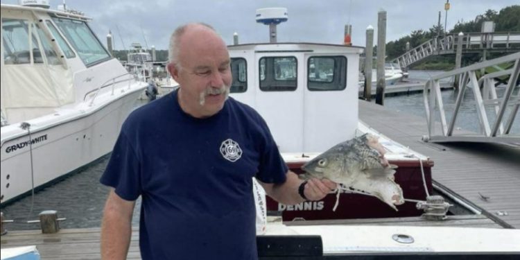 Peshkaqeni ia rrëmben nga grepi peshkun peshkatarit