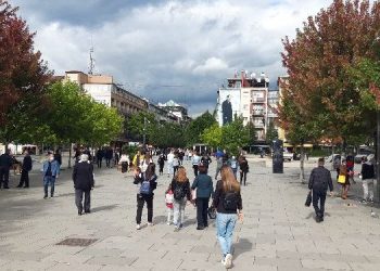 Mushkonjat shndërrohen në problem serioz për prishtinasit
