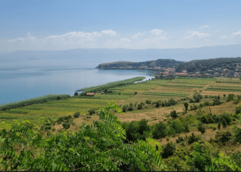 Zbulohet vendbanimi palafit më i vjetër në Evropë
