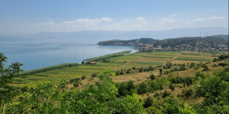 Zbulohet vendbanimi palafit më i vjetër në Evropë