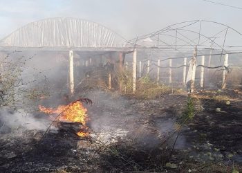 Zjarret në Durrës dhe Lushnjë, policia arreston 4 persona të dyshuar