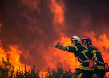 Ngjarje e rëndë në Kanada, zjarrfikësia 19-vjeçare vdes në krye të detyrës