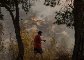 10 ditë përballje me flakët, zjarret “shkretërojnë” ishullin grek