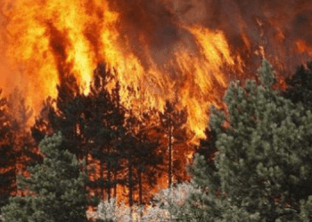 Zjarret e pakontrolluara, qeveria greke shpall gjendjen e jashtëzakonshme në Rodos