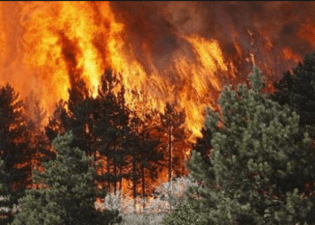 Zjarret masive në Mesdhe lënë të vdekur mbi 40 persona