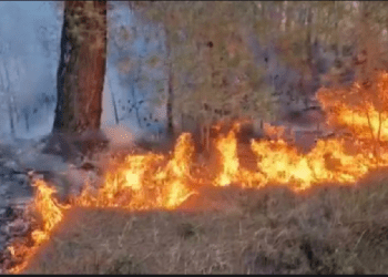 Kosova në mesin e vendeve “me rrezik të lartë” që mund të përballet me zjarre