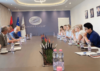 Ambasadori i OSBE-së në Kosovë Davenport takon grupin e grave të Kuvendit të Komunës së Ferizajt