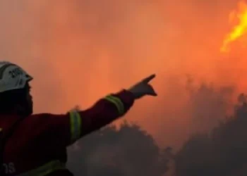 Portugalia në hall me zjarret, evaukohen mbi 1.400 persona!