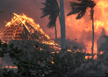 Zjarret përfshijnë Havain, numër i madh i vdekjeve e djegieve nga zjarri