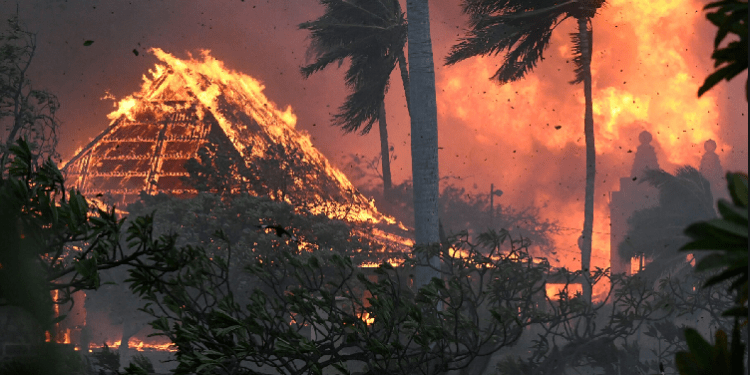 Zjarret përfshijnë Havain, numër i madh i vdekjeve e djegieve nga zjarri