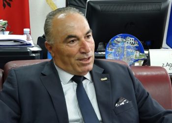 Kosova drejt liberalizimit, Shahini: Rrezik i madh që Kosova të mbetet pa shumë punëtorë