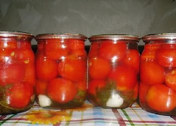 Mënyra më e shpejtë e përgatitjes së domateve turshi