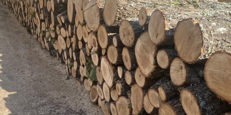 Çmimet në “qiell”, në Prishtinë një metër dru rreth 70 euro