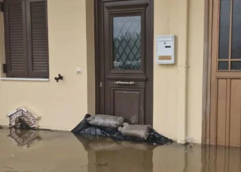 Terrorizohen grekët, pos vërshimeve i vërshojnë shtëpitë e tyre edhe gjarpërinjtë